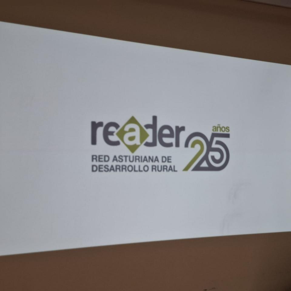 logo 25 aniversario