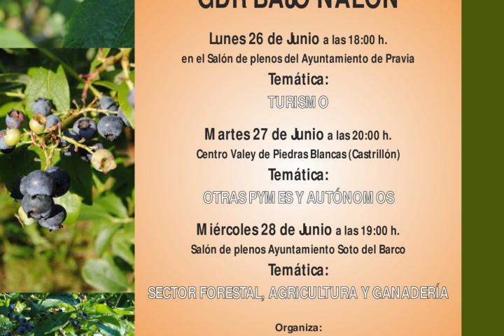Bajo Nalón lanza una campaña informativa sobre las ayudas LEADER en la comarca