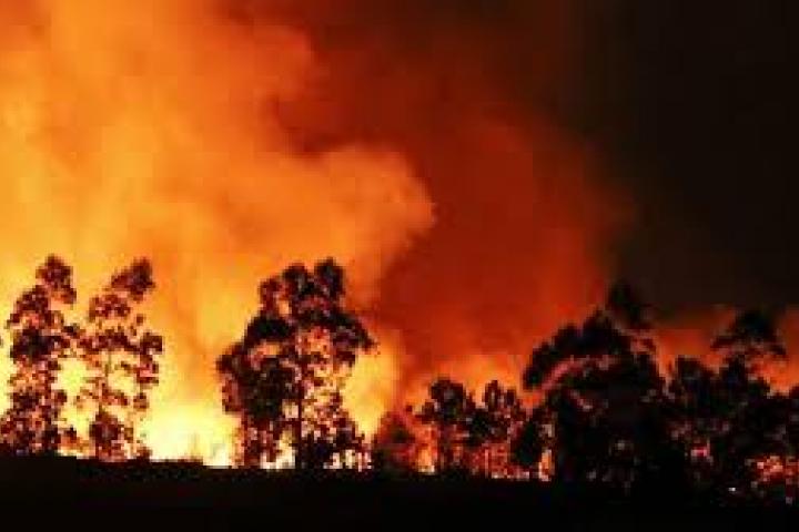 El Gobierno de Asturias constituye el comité de prevención y lucha contra los incendios forestales