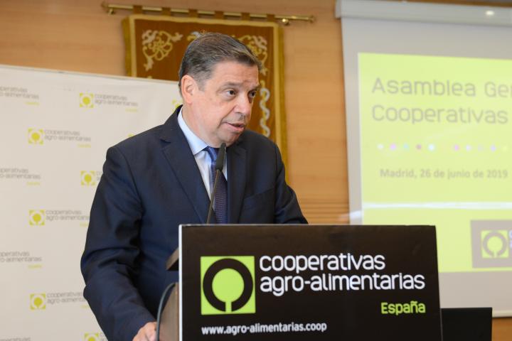 Luis Planas señala que las cooperativas deben avanzar en el camino de la integración