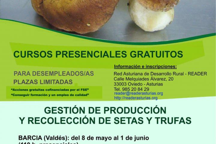 READER Crea se inicia con un curso gratuito sobre Gestión y producción de setas y trufas en Barcia (Valdés)