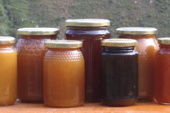 La nueva norma de calidad de la miel aportará mayor transparencia sobre el origen de este producto