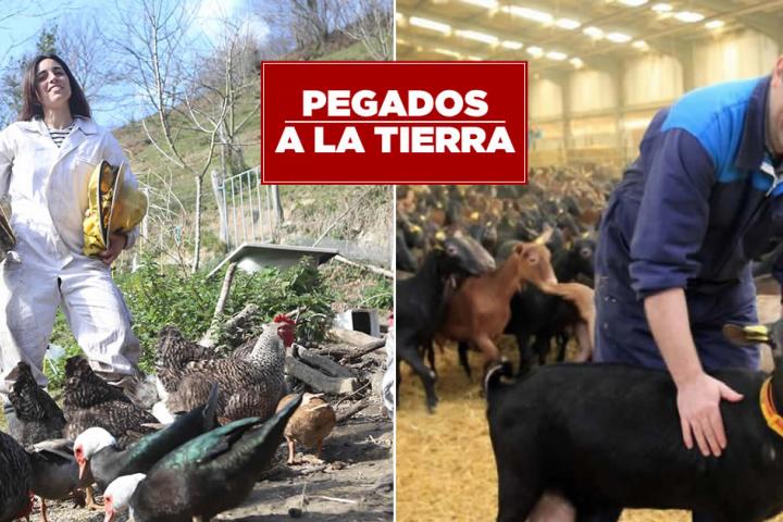 A debate el futuro del medio rural asturiano, en el que participará el Presidente de READER